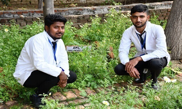 Top and best pharmacy colleges in Uttar Pradesh