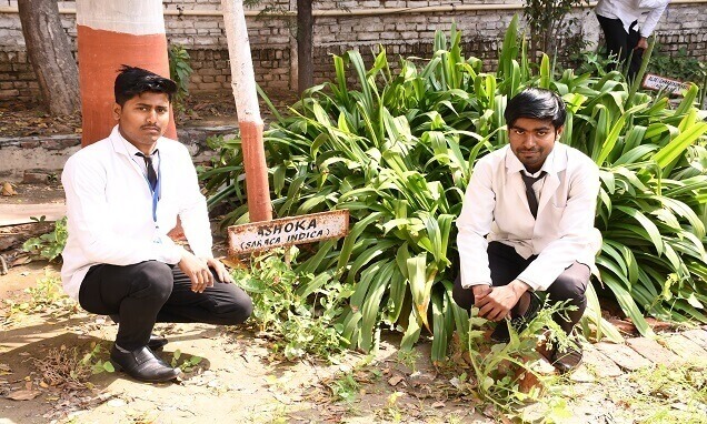 Top and best pharmacy colleges in Uttar Pradesh