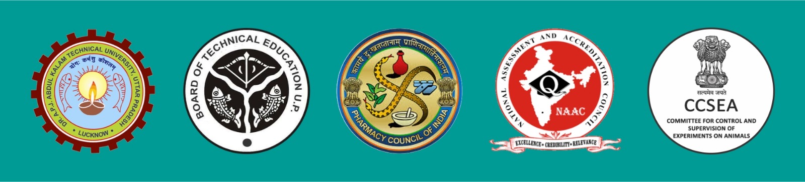 innovative group of college